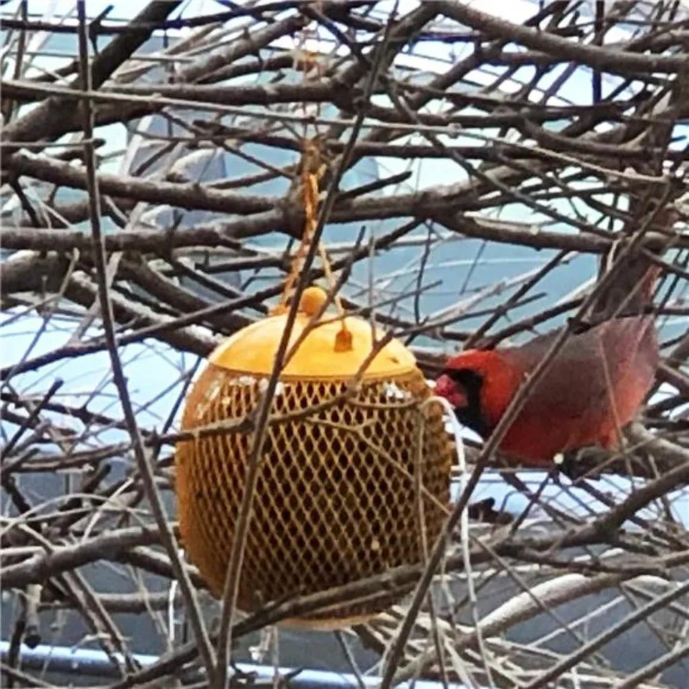 Set of 3 Squirrel Proof Bird Feeders for Outside - Bonus Ebook & Bird Attraction